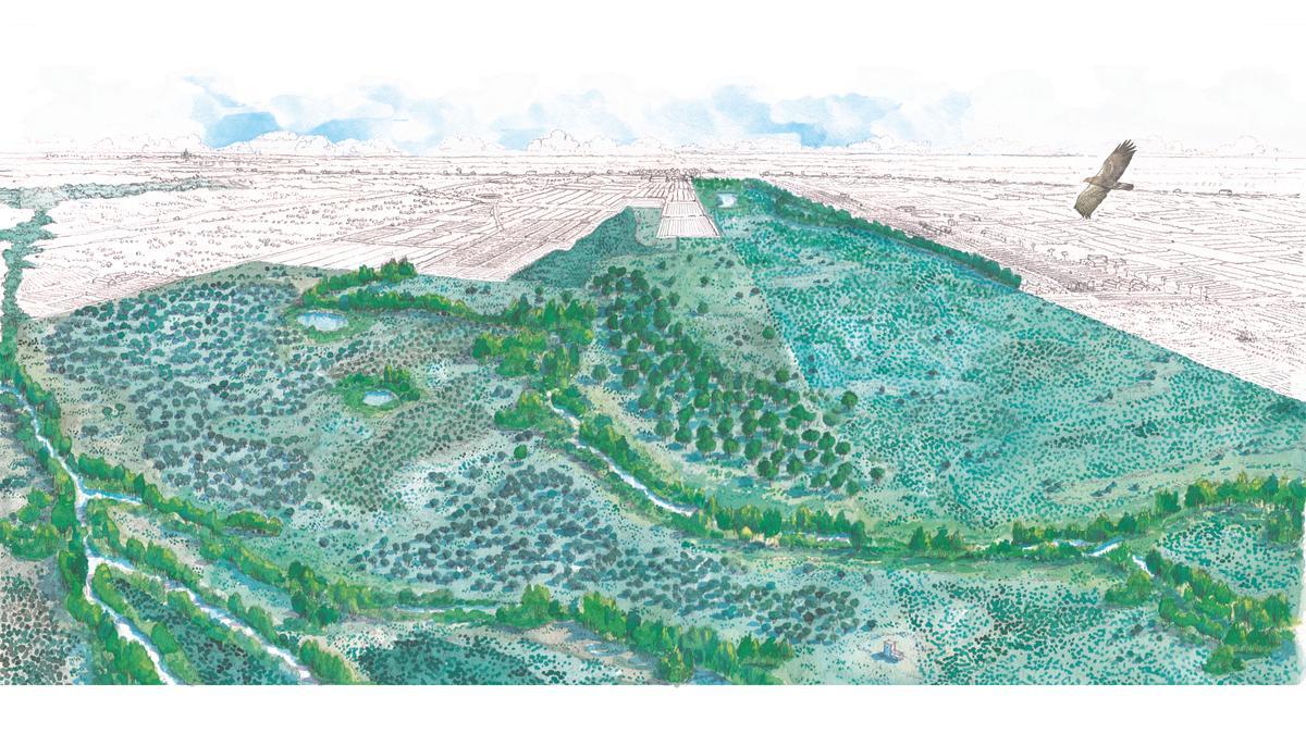 Adiós a los invernaderos: repintado verde integral para la primera finca que Doñana le arrebató al regadío