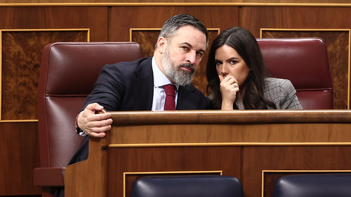 El Tribunal de Cuentas multa a Vox con 862.000 euros por recibir donaciones irregulares